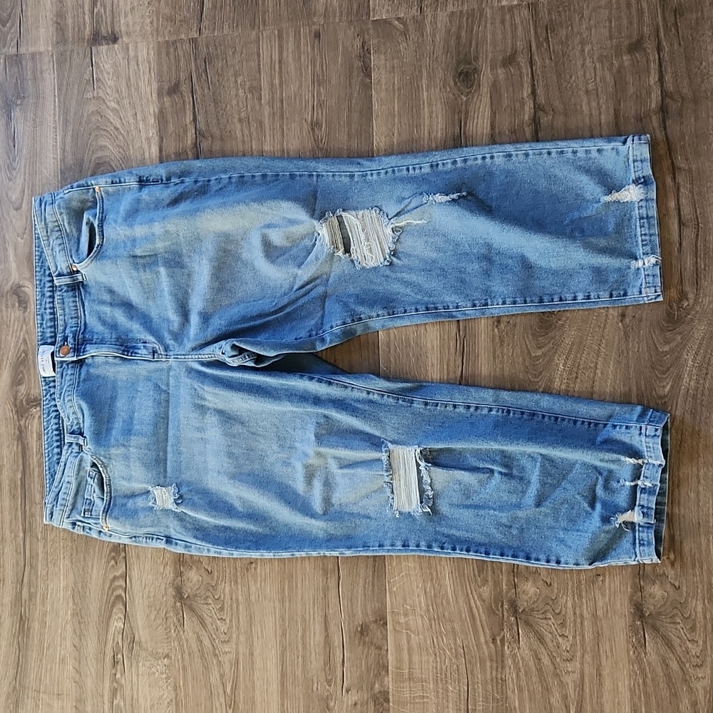 Lane Bryant Women's Jeans Size 26